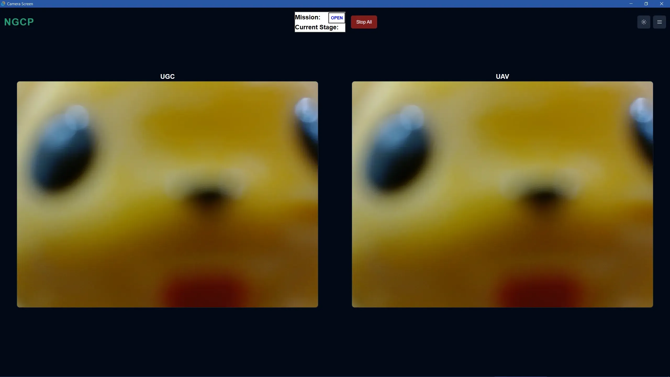 Side-by-Side Camera On